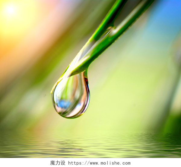 早晨五颜六色的水滴特写镜头绿色底座上的水滴